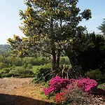 Chateau Haute Roche Oudon