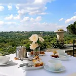 Отель Chateau Haute Roche *