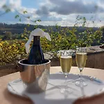 Отель Chateau Haute Roche *