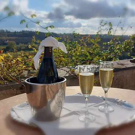 Hotel Chateau Haute Roche *
