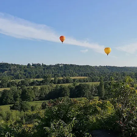 Chateau Haute Roche