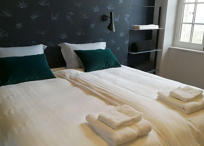 Chateau Haute Roche * Oudon