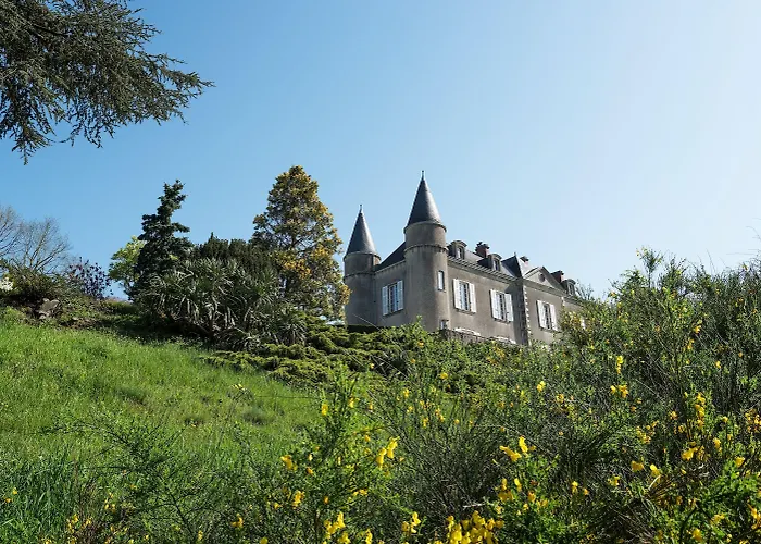 Chateau Haute Roche *