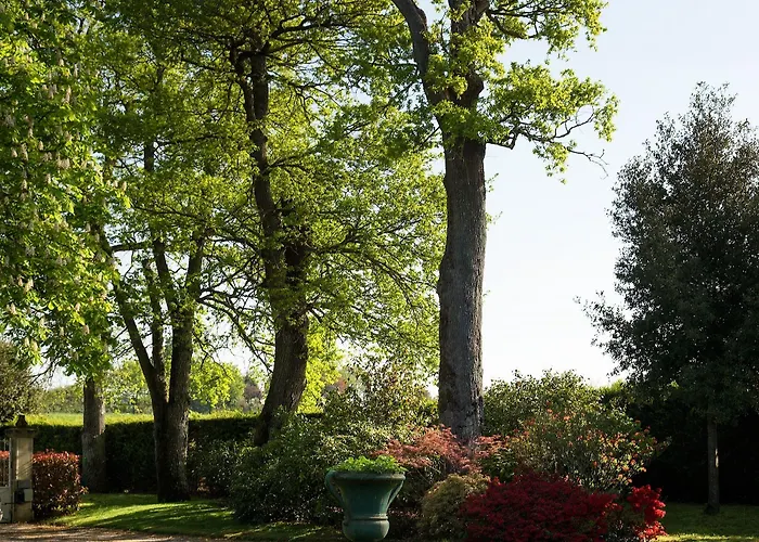 Hotel Chateau Haute Roche