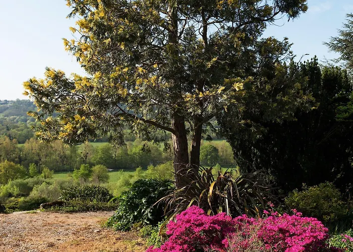 Chateau Haute Roche Oudon