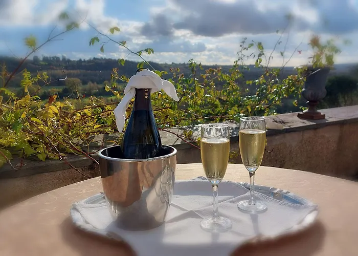 Hotel Chateau Haute Roche *